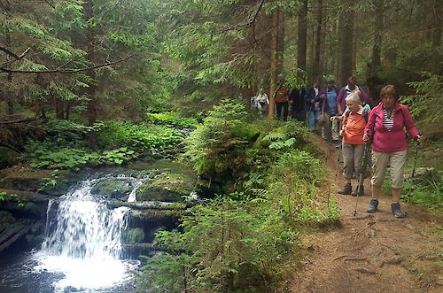 Wanderweg am Arber in Bayern